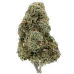 ancient alien hybrid