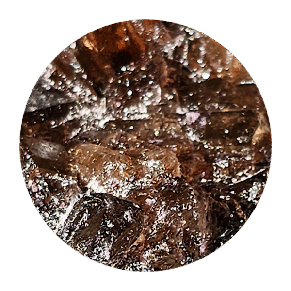 cola capsules