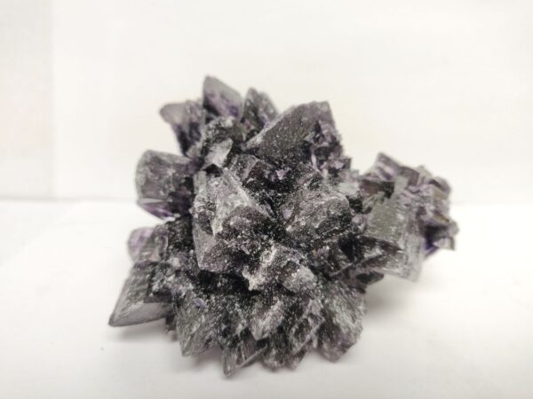 purple quasar doses