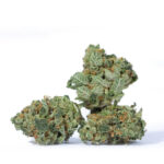 Star Killer Hybrid by Rare Dankness
