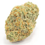 wedding cake hybrid