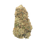 northern lights hybrid