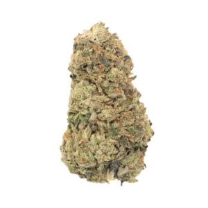 northern lights hybrid