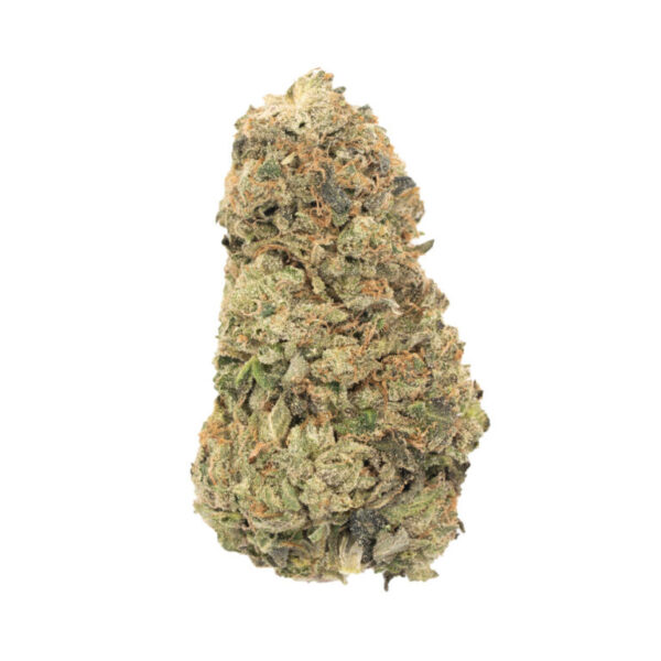 northern lights hybrid